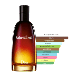 Perfume Fahrenheit Dior Masculino Eau de Toilette