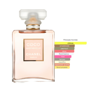 Perfume Chanel Coco Mademoiselle Feminino Eau de Parfum